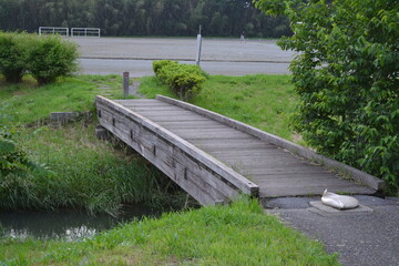 橋