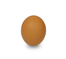one chicken egg with shadow on white background