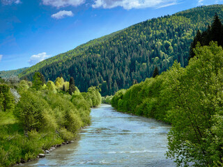 Fototapeta na wymiar Beautiful landscape with a river, a mountain and a coniferous forest. Sunny morning in the mountains. 
