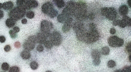 abstract colorful watercolor background bg