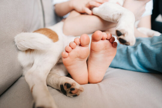 Children with a dog at home.