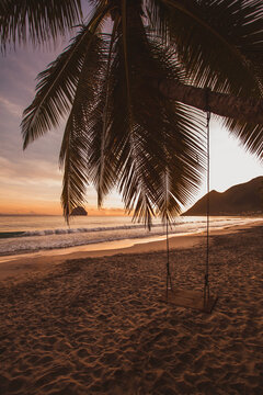 exotic sunset and silhouette of palm tree on tropical beach of Martinique island, Antilles