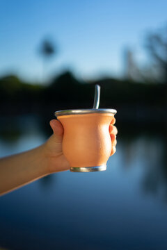 hand holding a mate tea at the park