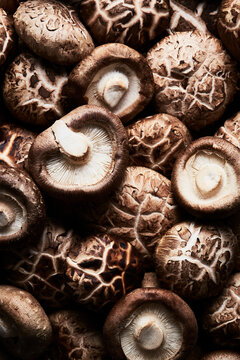 Close Up of Shiitake Mushrooms Overhead