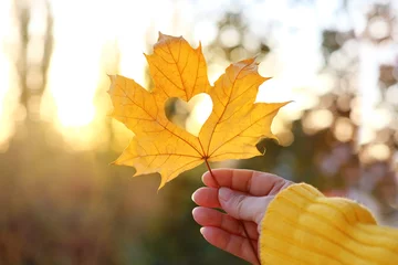 Foto op Aluminium yellow leaf with a heart in a female hand, background of golden leaves lie chaotically on the ground, autumn mood concept, seasonal © kittyfly