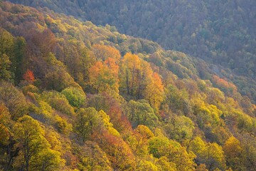На склоне хребта Азиш-Тау