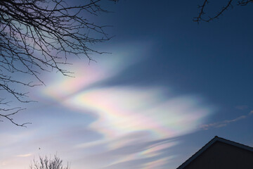Mother of Pearl Cloud over bare winter branches and rooftops