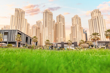 Green grass on the lawn with skyscrapers in JBR district in marina area with shops and restaurants