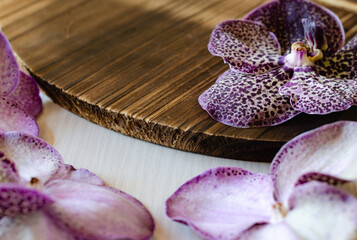 The picture of the orchid petals of the genus Vanda, the petals, and the mouth of the flowers are purple, dotted, and beautiful in a natural way, originally placed on the softwood background.