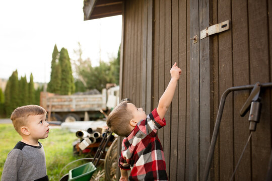 brothers investigate back yard shed