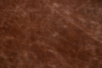 brown skin as background, a piece of brown animal skin