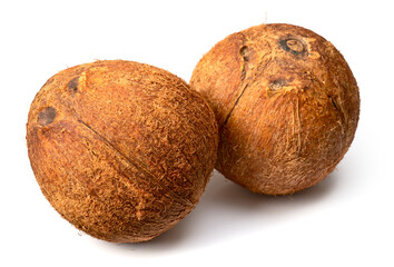 whole hairy coconut fruit isolated on white background