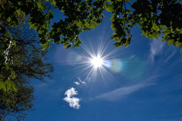 Obraz premium sun and clouds