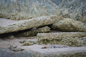 A picture of a rocky reef along the beach that has many shellfish remains.