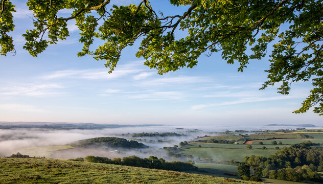 Hilltop at dawn