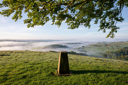 Hilltop at dawn