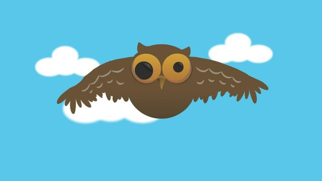 Owl flying in blue sky - Motion Graphics