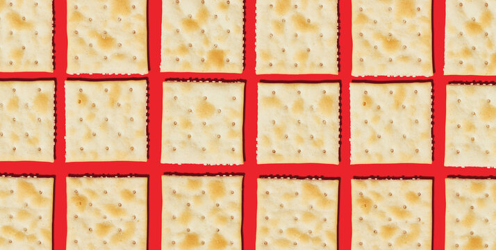 Soda Crackers Arrangement in Closeup 