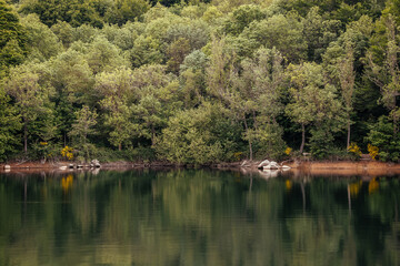 Landscape of a green forest reflected in the lake