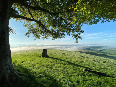 Hilltop at dawn