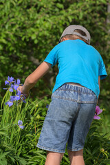 A boy takes care of garden flowers on a summer day