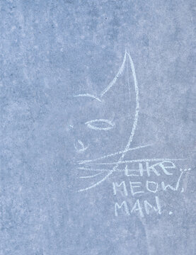 Cat graffiti