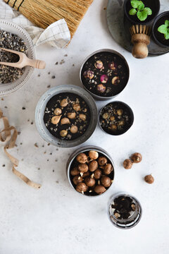 Different species of bulb corms in containers