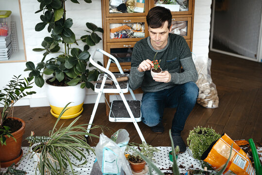 middle aged man taking care of houseplants