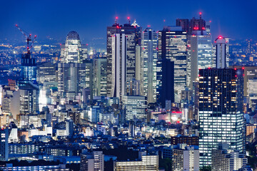 Fototapeta na wymiar 灯りが綺麗な夜の東京の景色
