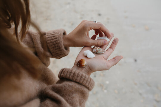 Seashells on a palm