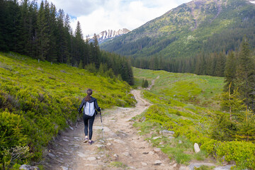 Woman hiker hiking in the mountains in summer to the highest ukrainian ridge Marmarosy near Romania.