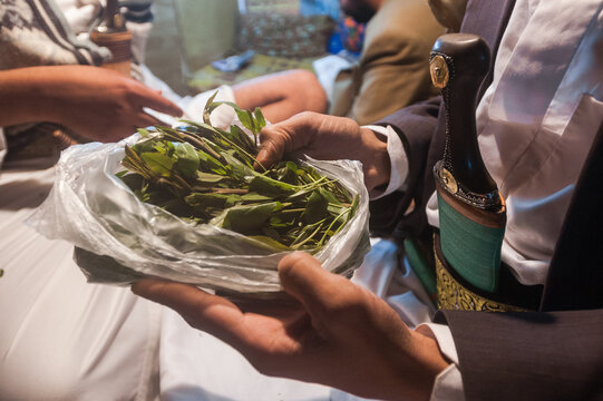 Khat in Yemen