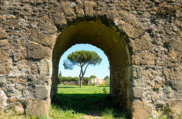 Fototapeta na wymiar Rome, Parco degli Acquedotti. Two symbols of the city: the gigantic pines and the aqueducts.