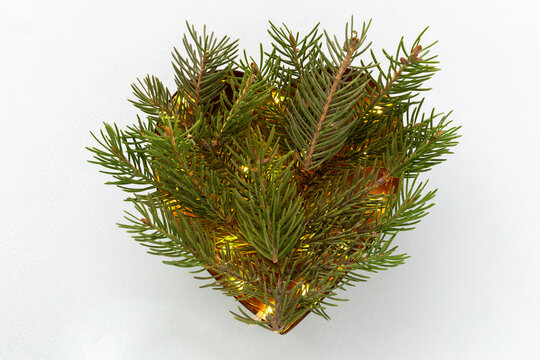 Heart shaped coniferous branches flat lay with festive twincle lights