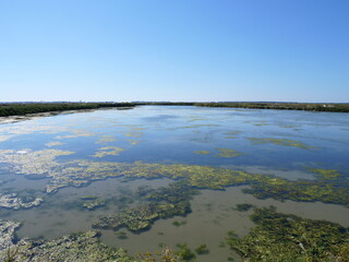 The landscape in the salt marshes in Guerande. June 2021, France.