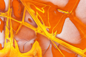 Noreena Jasper Closeup