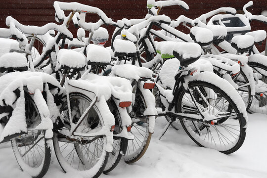 bicycles in the snow