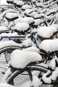 bicycles in the snow