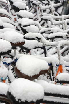 bicycles in the snow