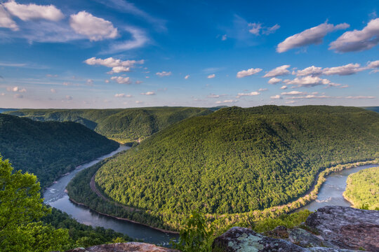 Verdant Forest In The New River Gorge National Park In West Virginia.