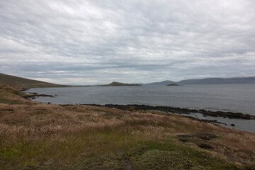 Falkland Islands. Landscape on a cloudy winter day