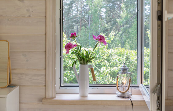 White window with mosquito net in a rustic wooden house overlooking the garden. Bouquet of pink peonies in watering can on the windowsill