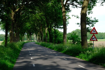 Road with traffic danger signs: warning for wild animals that may cross and junction on bend ahead

