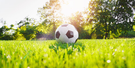 classic soccer ball on the meadow in the grass in sunlight - panorama