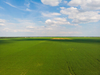 Fertile fields and blue sky in Serbia. Aerial photography. 