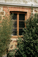 Fototapeta na wymiar Old building rustic window with greenery 