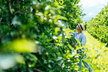 Positive female tourist enjoying green plantation in summer green