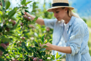 Blurred young woman picking benefits from plant