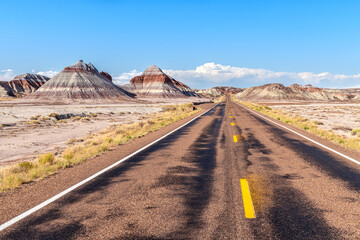 Petrified Forest National Park roadway