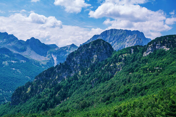 Fototapeta na wymiar Summer landscape - Albanian mountains, covered with green trees and blue sky